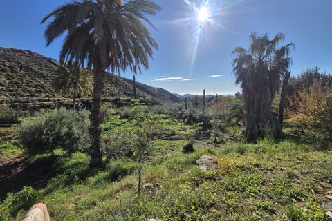 Bauernhof in Pilar De Jaravia, Almeria - Foto 1